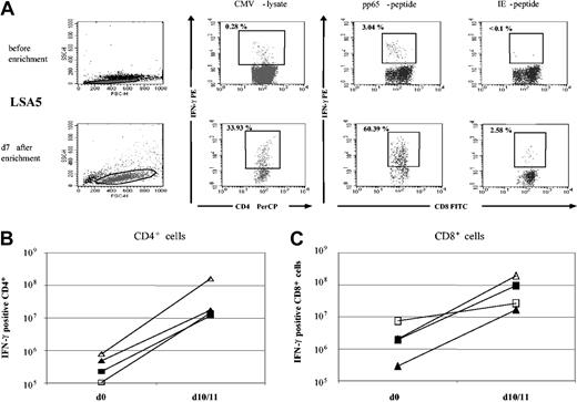 Figure 3. Functionally active CMV-specific CD4+ and CD8+ T cells are enriched after selection and expansion. (A) IFN-γ staining of PBMCs (top row) and enriched cells after 7 days of expansion (bottom row) from one donor (LSA5). Cells were stimulated with CMV lysate (second column), pp65-peptide NLV (third column), or IE-peptide VLE (fourth column). (B) Absolute numbers of IFN-γ-positive CD4+ lymphocytes after CMV lysate stimulation are shown from 4 donors—LSA4 (▪), LSA5 (□), LSA6 (▴) and LSA9 (▵)—before enrichment (d0) and after enrichment and 10 days of culturing (d7). (C) Absolute numbers of IFN-γ-positive CD8+ lymphocytes after stimulation of PBMCs (d0) and cells after enrichment and 10 days of culturing (d10) with the cognitive peptides. Cells were taken from the same donors as in panel B.