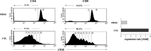 Figure 4. Restimulation and expansion of generated T-cell lines. CFSE-labeled PBMCs and generated T cells (1 × 106/mL) were cultured with CMV lysate-loaded autologous DCs. The CFSE staining and the expansion rate are shown in one representative donor after 7 days (LSA9). The number of divisions and the percentages of CD4+ and CD8+ T cells that underwent at least one cell division are indicated. Multiple cell division can be detected in isolated and expanded CD4+ and CD8+ T cells. In contrast, less than 13% of the unselected CD4+ and 17% of the unselected CD8+ T cells derived from the same donor dilute the CFSE dye. Differences in the degree of CFSE dilution in the selected and expanded T cells correlate with increases in cell numbers (up to 11-fold), whereas unselected PBMCs expanded marginally (up to 2.3-fold) in the same time period.