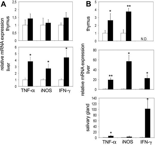 Figure 3. Up-regulation of TNF-α and iNOS mRNA precedes the symptoms of inflammatory disease and can be detected as early as day 3. The mRNA levels for TNF-α, iNOS, and IFN-γ in the thymus, liver, and salivary gland at (A) 3 days and (B) 2 weeks after birth. Bars represent the mean values ± SE from 4 to 5 mice, with tc-ptp-/- values (▪) shown as fold increase from those of age-matched tc-ptp+/+ mice (□). Statistical significance was determined by a 2-tailed unpaired Student t test. *P < .05; **P < .005 tc-ptp-/- compared with tc-ptp+/+. ND indicates not determined.