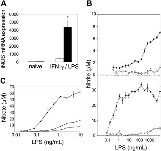 Figure 8. Splenic macrophages from tc-ptp-/- mice display an inflammatory phenotype as shown by increased iNOS and NO in response to LPS. (A) The iNOS mRNA levels in spleen cells from 2-week-old tc-ptp-/- (▪) mice and tc-ptp+/+ (□) after a stimulation with 100 U/mL IFN-γ and 10 ng/mL LPS for 4 hours. Expression level in naive cells was set as one. Bars represent the mean values ± SE from 5 mice. Statistical significance was determined by a 2-tailed unpaired Student t test. *P < .05 tc-ptp-/- compared with tc-ptp+/+. (B) NO production as measured by nitrite concentrations in the supernatants from spleen cells from 14-day-old (top) and 27-day-old (bottom) tc-ptp-/- (•) and tc-ptp+/+ (○) mice cultured with different concentrations of LPS. Five separate experiments were performed and all gave similar results. The results shown are from one representative experiment. (C) NO production as measured by nitrite concentrations in the supernatants from spleen-derived macrophages grown from 19-day-old tc-ptp-/- (▪), tc-ptp+/- (•), and tc-ptp+/+ (○) mice and stimulated with different concentrations of LPS. Three separate experiments were performed and all gave similar results. The results shown are from one representative experiment. The error bars represent the SE from triplicate cultures.