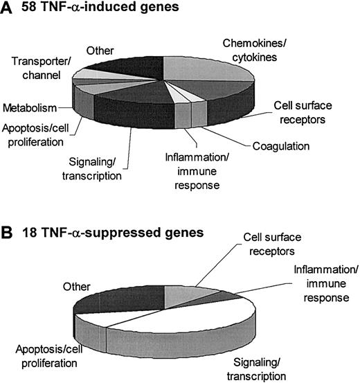 Figure 2. Assignment of TNF-α-regulated genes to functional groups. Endothelial genes that are induced at least 2.5-fold or switched on (A) or repressed at least 2.5-fold or switched off (B) by TNF-α are assigned to functional groups.
