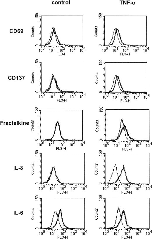 Figure 4. Confirmation of TNF-α-regulated endothelial gene expression profiles by flow cytometry. Expression of selected genes found to be TNF-α-regulated by microarray analysis was surveyed by flow cytometry. Endothelial cells were stimulated with TNF-α for 16 hours and processed for surface (CD69, CD137) or intracellular flow cytometry (fractalkine, IL-8, IL-6), respectively. Specific profiles are shown by thick lines and isotype control profiles appear as thin lines.