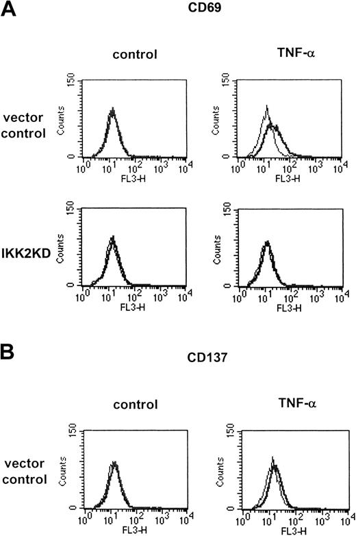 Figure 5. TNF-α-regulated expression of CD69 and CD137 after inhibition of the IKK2/NF-κB signaling pathway. Endothelial cells were infected with parental retrovirus or retrovirus containing dominant-negative IKK2 and subsequently stimulated with 2 ng/mL TNF-α for 16 hours. (A) Flow cytometry of CD69 surface expression revealed a significant induction by TNF-α in cells infected with the parental virus; this can be completely blocked in cells expressing dominant-negative IKK2. (B) In contrast to wild-type HUVECs, retrovirally infected HUVECs do not up-regulate CD137 upon exposure to TNF-α. Specific profiles are shown by thick lines and isotype control profiles appear as thin lines.
