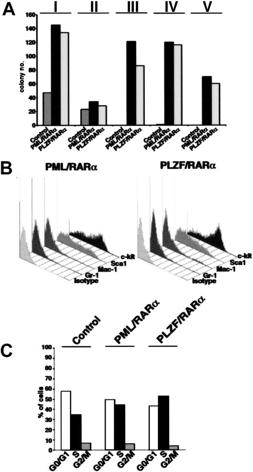 Figure 2. Increased self-renewal of Sca1+/lin- HSCs expressing X-RARαs. (A) Replating efficiency of Sca1+/lin- stem cells transduced with PML/RARα or PLZF/RARα. Mock-transduced cells were used as control. The cells were seeded in semisolid medium. At day 10 the cells were harvested, analyzed, and replated (I-V indicate the number of the plating round). (B) Surface marker expression of PML/RARα or PLZF/RARα expressing cells of the third plating. Gr-1 and Mac-1 were detected as markers of myeloid differentiation and Sca1 and c-kit were detected as stem cell markers. (C) Cell cycle analysis of 32D cells expressing PML/RARα or PLZF/RARα. Mock-transduced cells were used as control. Cell cycle was analyzed 36 hours after transduction by staining with propidium iodide (PI).