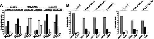 Figure 4. Overexpression of γ-catenin in Sca1+/lin- HSCs. (A) Differentiation of HSCs transduced with γ-catenin compared with that of PML/RARα-expressing HSCs in absence/presence of G/GM-CSF. Gr-1 and Mac-1 were detected as markers of myeloid differentiation and Sca1 and c-kit were detected as stem markers. One representative experiment of at least 3 performed is given. (B) Effect of γ-catenin and X-RARα on cell cycle progression of Sca1+/lin- HSCs. Cell cycle was analyzed 36 hours after transduction by staining the cells with propidium iodide (PI) or by BrdU incorporation (BrdU). For each assay one representative experiment of 3 is given.