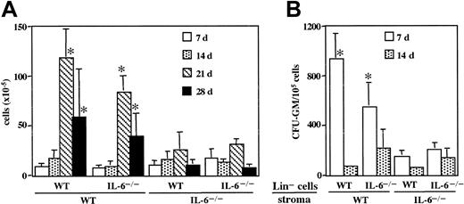 Figure 4. Kinetics of Lin- wild-type and IL-6-/- BM cell proliferation and CFU-GM production on irradiated wild-type and IL-6-/- stromal layers. Wild-type and IL-6-/- LTBMCs were established and maintained as in Figure 1. After 4 weeks, cultures were irradiated (17 Gy); 3 days after irradiation, cultures were seeded with 5 × 105 Lin- wild-type or IL-6-/- BM cells. No differences were observed in CFU-GM number between Lin- wild-type and IL-6-/- BM seeded cells. Half of the medium was changed weekly, and production of total hematopoietic cells (A) and CFU-GMs (B) in culture medium was evaluated. Results are expressed as the mean ± SD of 4 experiments. *P < .01, for wild-type stroma versus IL-6-/- stroma seeded with the same type of BM cells.