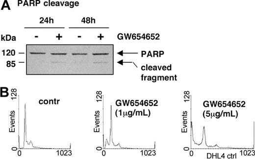 Figure 5. PARP cleavage and cell cycle profile of MM cells exposed to GW654652. (A) GW654652 induces proteolytic cleavage of PARP. MM.1S cells were treated with GW654652 for 24 and 48 hours, followed by immunoblot analysis of the lysates with anti-PARP antibody. (B) Cell cycle profile of MM cells exposed to GW654652. U266 cells were cultured for 48 hours in the presence of GW654652 (1 and 5 μg/mL). Cultures in media alone served as negative control. Cells were stained with propidium iodide, and cell cycle profile was determined using flow cytometry.