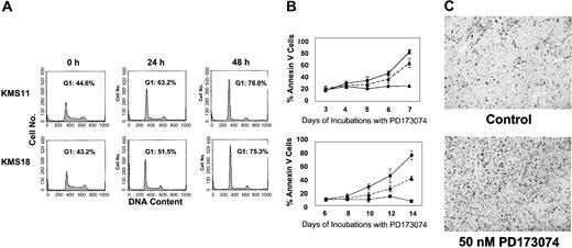 Figure 4. Inhibition of FGFR3 induces cell cycle arrest and is associated with apoptosis of KMS11 and KMS18 cells. (A) KMS11 (top panels) and KMS18 (bottom panels) cells were cultured in the presence of 50 nM PD173074 for the indicated time intervals. Cell cycle profile was evaluated by flow cytometry. The percentage of nuclei in G1 is indicated on each panel. (B) KMS11 (top panel) and KMS18 (bottom panel) cells were cultured with vehicle (▪) or with 12.5 nM (▴)or 50 nM(•) PD173074. Apoptotic cells were identified by annexin V staining and plotted against time. Values are the mean ± SD percentages from triplicate experiments. (C) KMS11 cells were exposed to vehicle (control) or 50 nM PD173074 for 6 days and clot sections of cells were prepared and stained for cleaved caspase 3. Original magnification, × 400.