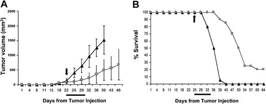 Figure 7. Inhibition of FGFR3 delays tumor growth and increases survival of mice in a KMS11 xenograft myeloma model. Twice daily administration of placebo (▴) or 25 mg/kg PD173074 (▪) was initiated when KMS11 tumors were palpable (indicated by arrow). Treatment was continued for 9 days (indicated by bar). (A) Tumor volume (mean ± SD mm3) plotted against time. (B) Survival from day of inoculation until death. Twenty-five mice per treatment were included in the analysis. No effect of PD17074 treatment was noted in 8226 tumors similarly treated (data not shown).