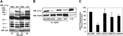 Figure 3. Platelet adhesion to dA1VWF induces tyrosine phosphorylation. Human platelets adherent to dA1VWF or incubated over a BSA matrix were lysed and analyzed by Western blotting as described in “Materials and methods.” (A) Platelets adherent to dA1VWF (dA1) or incubated over BSA for 10 or 20 minutes were lysed, and lysates were then probed with antiphosphotyrosine antibodies. Membranes were reprobed for Syk. (B) Platelets were allowed to adhere to dA1VWF with or without 5 μM PP2 or PP3. Then lysates (LYS) were immunoprecipitated with an antibody to ADAP and probed for phosphotyrosine. (C) The effect of PP2, EDTA, and 1 μM BAPTA-AM on tyrosine phosphorylation of ADAP. Data represent ADAP phosphotyrosine band intensities, determined by densitometry, and are expressed relative to results obtained in the absence of inhibitor. Data represent means ± SEM of 3 experiments.