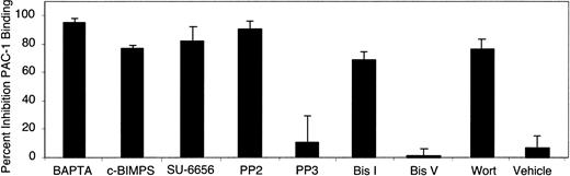 Figure 5. Signaling intermediates involved in GP Ib-IX-V signaling to αIIbβ3. Platelets adherent to dA1VWF were prepared as in Figure 4 in the presence of inhibitors to block signaling through ADP and thromboxane A2 receptors as well as with either 1 μM BAPTA-AM, 400 μM c-BIMPS, 1 μM SU-6656, 5 μM PP2 or PP3, 12 μM bisindolylmaleimide I or V, 100 nM wortmannin, or vehicle control. Data represent means ± SEM of 3 experiments.