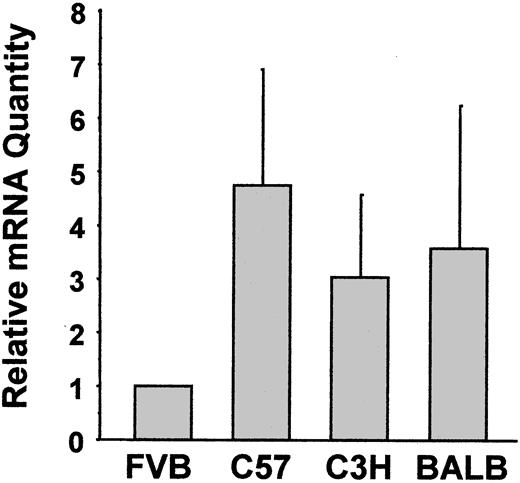 Figure 3. Quantification of integrin α2 mRNA. Platelet total RNA was extracted, reverse transcribed into cDNA, and amplified in an ABI Prism 7700 Sequence Detector. Platelet integrin αIIb was the internal control used to normalize results between samples. Results are expressed as the fold-difference in α2 mRNA expression in platelets from FVB mice. Data are the means ± SD of 4 separate experiments starting at the RNA extraction.