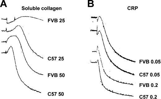 Figure 6. Aggregation tracings from FVB and C57 mice. (A) Platelet-rich plasma from FVB and C57 strains of mice was stimulated with 25 μg/mL and 50 μg/mL soluble type I calf skin collagen. (B) Platelet-rich plasma from FVB and C57 strains of mice was stimulated with 0.05 μg/mL and 0.2 μg/mL cross-linked CRP.