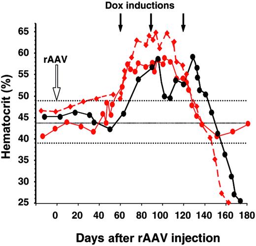 Figure 2. Hematocrit levels from Mac 9 and Mac 10 (red circles and diamonds, respectively), and Mac 14 (black circles) from the time of rAAV-2 (red) and rAAV-1 (black) injections (open arrow), until anemia occurred. Black arrows correspond to the Dox induction cycles. Dotted lines are normal hematocrit levels ± SD. Symbols in this figure are identical to those in Figure 1.