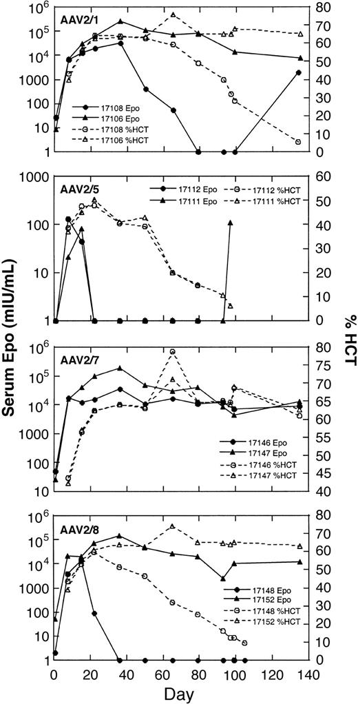 Figure 1. Erythropoietin expression and hematocrit levels of cynomolgus macaques injected intramuscularly with pseudotyped AAV2 vectors expressing isogenic EPO cDNA. Animals were administered AAV pseudotypes as indicated (AAV2/1, AAV2/5, AAV2/7, and AAV2/8) intramuscularly (1 × 1013 genome copies/kg) and were subsequently monitored for blood hematocrit (open symbols) and serum EPO (filled symbols), as measured by a commercially available ELISA. For each vector pseudotype, 2 animals were enrolled; their identification numbers are indicated. Serum EPO (mIU/mL) and blood hematocrit (%) are presented as a function of time after vector (days).