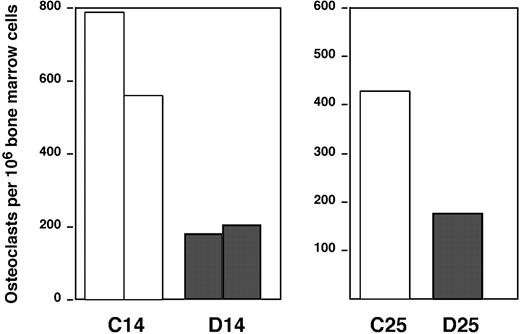 Figure 3. Analysis of osteoclastogenesis after osteoblast depletion. Bone marrow suspensions were plated in media containing 30 ng/mL M-CSF plus 30 ng/mL RANKL. Five days later, cells were fixed and stained for tartrate-resistant acid phosphatase (TRAP). Osteoclast generation was evaluated by counting the number of TRAP-positive multinucleated cells. The groups considered are the following: Col2.3ΔTK mice treated with PBS (□) and Col2.3ΔTK mice treated with GCV (▦). The left graph shows the data from groups treated for 14 days (2 experiments); the right graph, data for mice treated for 25 days (1 experiment).