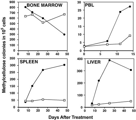 Figure 6. Kinetics of medullarly and extramedullary hematopoiesis after GCV treatment. Organs and peripheral blood leukocyte suspensions were prepared from Col2.3ΔTK transgenic mice treated with PBS (□) or ganciclovir (•) at different time points. Cells were plated in methylcellulose semisolid media supplemented with cytokines that permit the development of myeloerythroid colonies. The colonies were evaluated as described in the legend to Figure 4.