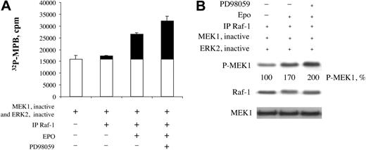 Figure 5. Inhibition of Raf-1 hyperphosphorylation by PD98059 increases Raf-1 kinase activity. (A) Raf-1 kinase assay. BaF3-EpoR cells were serum-starved overnight and were incubated in the absence or presence of inhibitor PD98059 for 10 minutes, then in the absence or presence of EPO for 5 minutes. Cell lysates were immunoprecipitated with anti–Raf-1 antibody, and the immunoprecipitate was used for Raf-1 kinase assay. Four microliters of the first-stage reaction of kinase assay was used to phosphorylate MBP. Black bars show increase above background. Error bars represent means ± SD. (B) Western blot analysis of the first-stage reaction from kinase assay.