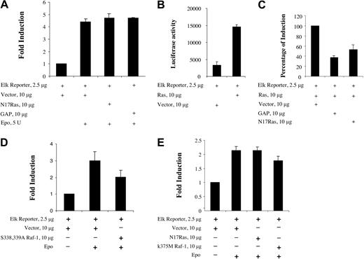 Figure 7. Dominant-negative Ras N17Ras and GAP have no effect on the EPO-induced activation of ELK. (A) Ten micrograms N17Ras or GAP or empty vector along with 2.5 μg Gal4-Elk fusion protein expression plasmid and luciferase reporter plasmid containing Gal4 binding site were cotransfected into BaF3-EpoR cells. Cells were incubated in the absence of EPO for 14 hours. Then 5 U EPO/mL was added, and the incubation was continued for an additional 5 hours. Cells were harvested for luciferase assay. (B) Ten micrograms activated H-Ras or vector along with 2.5 μg Gal4-Elk fusion protein expression plasmid and luciferase reporter plasmid were cotransfected into BaF3-EpoR cells. Cells were incubated in the presence of EPO for 14 hours and then harvested for luciferase assay. (C) Ten micrograms activated H-Ras along with 10 μg N17Ras or GAP or empty vector and 2.5 μg Gal4-Elk fusion protein expression plasmid and luciferase reporter plasmid were cotransfected into BaF3-EpoR cells. Cells were incubated in the presence of EPO for 14 hours and then harvested for luciferase assay. (D) Ten micrograms dominant-negative Raf-1 S338A, S339A, or empty pCMV-tag2A vector along with 2.5 μg Gal4-Elk fusion protein expression plasmid and luciferase reporter plasmid containing Gal4 binding site were cotransfected into BaF3-EpoR cells. Cells were incubated in serum-free medium for 14 hours. After 25 U EPO/mL was added, the incubation was continued for another 5 hours. Cells were harvested for luciferase assay. (E) Ten micrograms N17Ras or dominant-negative Raf-1 K375M or empty pCMV-tag2A vector along with 2.5 μg Gal4-Elk fusion protein expression plasmid and luciferase reporter plasmid containing Gal4 binding site were cotransfected into Rauscher murine erythroleukemia cells. Cells were incubated in serum-free medium for 14 hours. After 25 U EPO/mL was added, the incubation was continued for another 5 hours. Cells were harvested for luciferase assay. Error bars represent means ± SD.