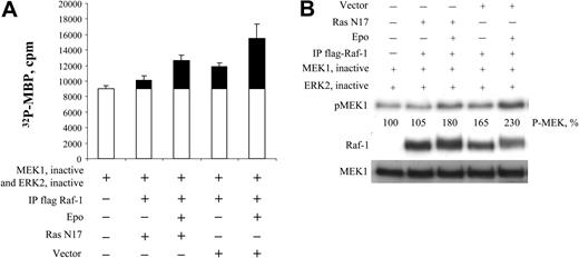 Figure 8. Dominant-negative Ras N17Ras does not inhibit the EPO-dependent induction of Raf-1 activity. (A) Raf-1 kinase assay. BaF3-EpoR cells were cotransfected with 10 μg Raf-1 and 30 μg dominant-negative Ras (N17 Ras) expression plasmid DNA. Cells were incubated in the absence or presence of EPO for 5 minutes. Cells were lysed, and Raf-1 was immunoprecipitated with antiflag antibody. The immunoprecipitate was used for the Raf-1 kinase assay. Four microliters of the first-stage reaction of the kinase assay was used to phosphorylate MBP. Error bars represent means ± SD. (B) Western blot analysis of the first-stage reaction from kinase assay.