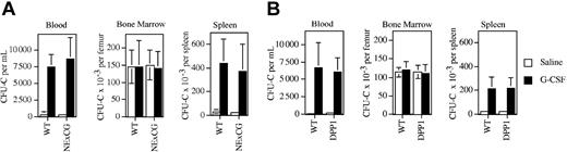 Figure 3. HPC mobilization by G-CSF in NE × CG-deficient and DPP-I–deficient mice. Wild-type and NE × CG-deficient mice (A) or wild-type and DPP-I–deficient mice (B) were treated with 250 μg/kg G-CSF per day for 5 days, and the number of CFU-Cs in the bone marrow, blood, and spleen was quantified 4 hours after the final dose of G-CSF (n = 4 mice each group). Data represent the mean ± SD.