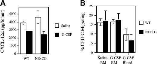 Figure 7. CXCL12α protein and functional CXCR4 expression on HPCs following G-CSF treatment. Wild-type or NE × CG-deficient mice were treated with saline or G-CSF (n = 3-4, each). (A) The amount of CXCL12α protein in the bone marrow extracellular fluid was measured by ELISA. (B) The chemotaxis of CFU-Cs to CXCL12α was measured; the percentage of CFU-Cs migrating in response to CXCL12α is shown. Data represent the mean ± SD.