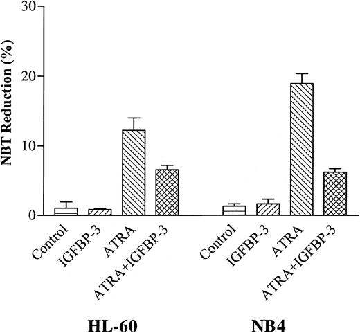 Figure 6. Effect of IGFBP-3 on ATRA-induced NBT reduction of HL-60 and NB4 cells. Cells were cultured for 2 days with IGFBP-3 (5 μg/mL) alone or in combination with ATRA (10–7 M), and differentiation was determined by NBT reduction. Data represent the mean ± SD of triplicate cultures.