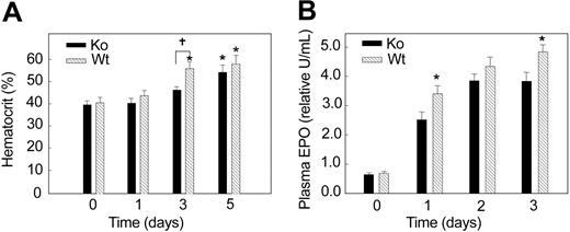 Figure 4. Hematocrit response to hypoxia in Wt and KO mice. Hematocrit (%) increased after 3 days of hypoxia in Wt mice but was delayed until 5 days in KO mice. Values are mean ± SEM (n = 6-8 per group at each time point; *P < 0.05 relative to control; †P < .05 between groups).