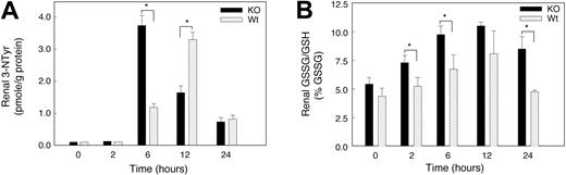 Figure 8. Oxidative and nitrosative stress in kidneys of mice exposed to acute hypoxia. (A) Renal 3-nitrotyrosine (3-NTyr) protein content in renal tissue. Renal NTyr was measured by HPLC with electrochemical detection and NTyr was expressed in nmol/g protein. Increases in protein nitrotyrosine were found in both groups of mice at 6 to 24 hours of hypoxia. Values are means ± SEM (n = 4 mice per group at each time point; *P < .05). (B) GSSG/GSH ratio as a percentage of total GSH. Significant stress on the thiol pool was detectable early in hypoxia in the KO but not in the Wt strain. Values are mean ± SEM (n = 4 animals per group at each time point; *P < .05).