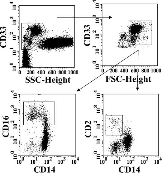 Figure 1. Identification of distinct subsets of DC precursors from pediatric patients recovering from Allo-HSCT. Top plots: sequential progressive gating of a population of large mononuclear myeloid cells, by combination of CD33 expression with light scatter parameters (SSC and FSC, as described in “Patients, materials, and methods”). Bottom plots: analysis of CD33+ mononuclear large cells from the gate selected in the top right plot, by 3-color counterstaining with CD14, CD16, and CD2.
