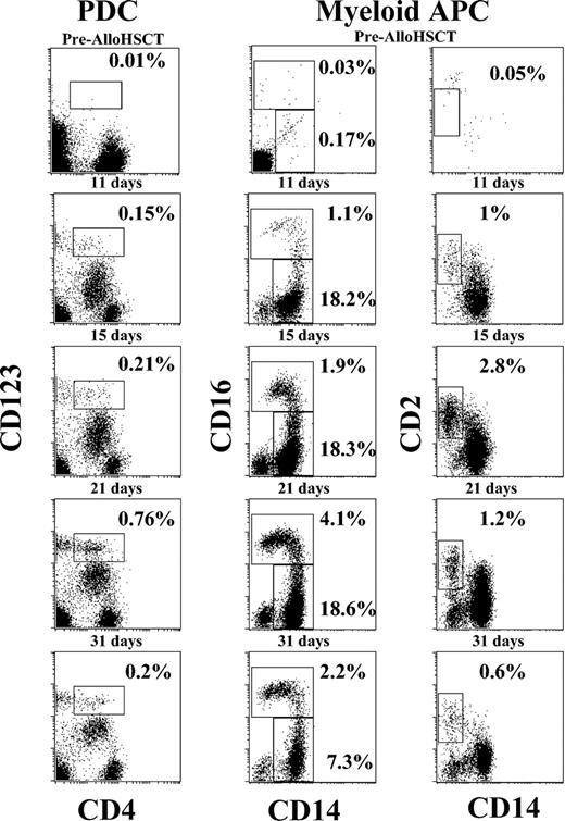 Figure 3. Progressive appearance of distinct plasmacytoid and myeloid DC precursors in whole peripheral blood after Allo-HSCT. Dot plots were obtained as reported in “Patients, materials, and methods” at the indicated time points from a patient treated with Allo-HSCT for severe aplastic anemia. Before Allo-HSCT, this patient had a significant number of lymphocytes but was totally deficient in myeloid and plasmacytoid DC precursors. After Allo-HSCT, there was a gradual and progressive appearance of myeloid and plasmacytoid mononuclear cells. The percentages of DC subtypes are referred to WBC.