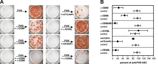 Figure 5. The antigen-specific restimulation of FVIII-specific memory B cells in vitro involves CD40-CD40L and B7-CD28 interactions but does not require ICOS-ICOSL interactions. Memory cell pool cells (CD138– spleen cells) were obtained from hemophilic mice treated with 4 intravenous doses of 200 ng (80 U/kg) FVIII and restimulated with 10 ng/mL FVIII. Anti-FVIII ASCs were analyzed after 6 days of culture by using ELISPOT assays. To interfere with costimulatory interactions, blocking antibodies (α-CD80, α-CD86, α-ICOSL, α-CD40L as indicated) or competitor proteins (mCTLA-4/Fc, mICOS/Fc as indicated) were added to the cultures at a concentration of 10 μg/mL together with the FVIII. Appropriate isotype-matched control antibodies and human IgG1 were used at the same concentration. (A) ELISPOT data obtained in a representative experiment. (B) Mean values (n = 4) and standard deviations. All results were normalized for comparing experiments done on different days. Results obtained with FVIII only were set as 100%.