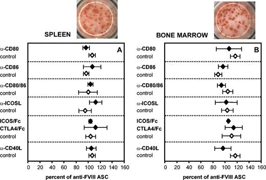 Figure 7. Production of anti-FVIII antibodies by ASCs in vitro does not depend on any of the costimulatory interactions tested. Spleen cells and bone marrow cells were obtained from hemophilic mice treated with 4 intravenous doses of 200 ng (80 U/kg) FVIII and analyzed for ASCs by ELISPOT assays. All results were normalized for comparing experiments done on different days. The ELISPOTs above each graph represent the results obtained in a typical experiment. To interfere with B7-CD28, CD40-CD40L, and ICOS-ICOSL interactions, blocking antibodies (α-CD80, α-CD86, α-ICOSL, α-CD40L as indicated) or competitor proteins (mCTLA-4/Fc, mICOS/Fc as indicated) were added at a concentration of 10 μg/mL at the beginning of the cultures. Appropriate isotype-matched control antibodies and human IgG1 were used as controls at the same concentration. Mean values (n = 3) and SDs are presented.