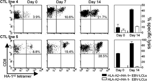 Figure 2. aAPC-mediated expansion of mHag-specific polyclonal CTL lines. Polyclonal CTL lines 4 and 5 were stimulated with aAPCs and either autologous CD4+Th cells (CTL line no. 4) or autologous PBMCs (CTL line no. 5) in the presence of 20 U/mL IL-2 and 10 ng/mL IL-7. Responder-stimulator ratios were as follows: CTLs/aAPCs/PBMCs, 1:1:1; CTLs/aAPCs/CD4+Th, 2:2:1. Prior to each restimulation, HA-1A2 tetramer staining of viable CD8+ T lymphocytes and cytotoxicity assays were performed. Cytotoxicity results are shown for an effector-target ratio of 10:1. The percentages in the scatterplot subpanels represent the percentage of viable CD8+ HA-A1A2 tetramer–positive lymphocytes in the total population of viable CD8+ lymphocytes.