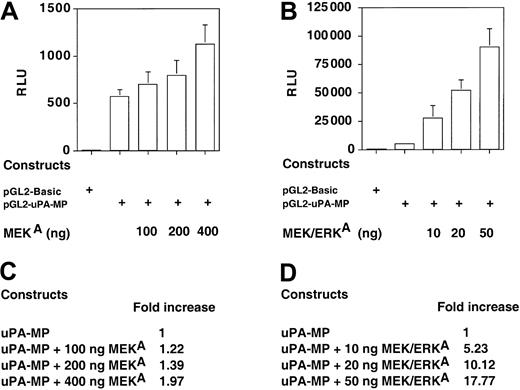 Figure 1. The uPA minimal promoter element responds to a constitutively active MEK kinase and to a MEK/ERK chimeric kinase. HeLa cells were transfected with a reporter construct in which the luciferase gene was driven by the minimal promoter element of the uPA gene. The cells were also cotransfected with increasing amounts of a plasmid constitutively expressing the active form of MEK (MEKA; panel A) or the MEK/ERK chimeric kinase (MEK/ERKA; panel B). The uPA minimal promoter element displays a dose-dependent response to both the constitutively active kinases. RLU indicates relative light units. Error bars indicate SD. (C-D) Quantitation of the data in panels A and B, respectively. Variation in transcriptional activation is expressed as fold induction relative to the minimal promoter construct alone.
