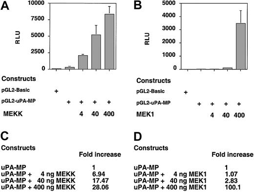 Figure 3. The uPA-MP construct responds to the MEKK and MEK1 kinases in LNCaP cells. LNCaP cells, transfected with reporter plasmids as for Figure 1, were cotransfected with increasing amounts of plasmids constitutively expressing MEKK or MEK1. As in Figure 1, the uPA-MP reporter construct shows a significant dose-dependent response to the cotransfected MEKK (A) and MEK1 (B). Error bars indicate SD. (C-D) Quantitation of the data in panels A and B, respectively, is as in Figure 1.