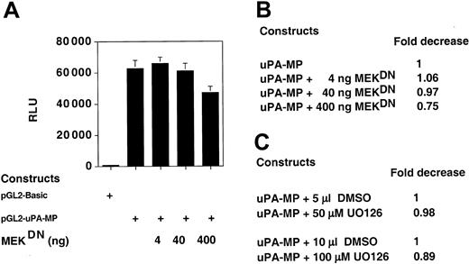 Figure 4. A MEK dominant negative mutant or treatment with the kinase inhibitor UO126 does not affect transcription from the uPA minimal promoters in PC3 cells. PC3 cells were cotransfected with the reporter plasmids used in Figure 1 and with increasing amounts of a plasmid constitutively expressing a MEK dominant negative mutant (MEKDN). The uPA minimal promoter construct (A) was only marginally affected by MEKDN. Error bars indicate SD. (B) Quantitation of the data in panel A is as in Figure 1 but expressed as fold decrease. (C) Quantitation of the results obtained with the UO126 treatment of uPA-MP–transfected PC3 cells. The cells were given an amount of DMSO, as a control, equivalent to that containing 50 or 100 μM UO126. Also in this case, the results are expressed as fold decrease.