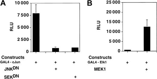 Figure 5. A GAL4-cJun, but not a GAL4-Elk1 fusion protein, drives transcription from a reporter construct in PC3 cells in the absence of cotransfected, kinase-expressing plasmids. PathDetect (Stratagene) GAL4-cJun– and GAL4-Elk1–expressing constructs were cotransfected in PC3 cells with plasmids expressing the wild-type or mutant forms of various kinases and with a luciferase reporter plasmid containing 5 GAL4 binding sites (PathDetect; Stratgene). The Jun-driven construct (A) shows high levels of expression in PC3 cells, which are reduced by cotransfection with the dominant negative forms of JNK and SEK. The Elk-driven construct (B) displays background levels of transcription in the absence of cotransfected kinase MEK1. Error bars indicate SD.