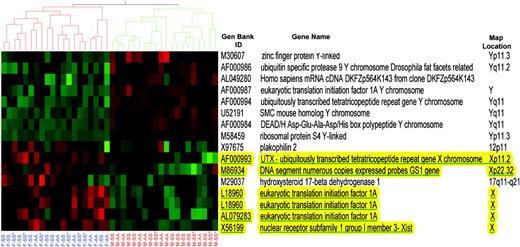 Figure 1. Heirarchical cluster analysis of 14 gender-specific genes as a novel validation of microarray expression data. Genes were chosen on the basis of comparison of mean gene expression levels between 8 male and 6 female sickle cell disease patients (HbSS phenotype only, designated as either M-SS for males or F-SS for females) with false discovery rate of less than or equal to 10%. Hierarchical cluster analysis of the expression pattern of these 16 probe sets (14 genes) in all sickle cell disease patients (HbSS phenotype), including the original 14 subjects as well as 10 additional sickle cell disease patients on hydroxyurea (M-SS* or F-SS*) and 13 controls (M-AA or F-AA) show that they discriminate gender with 100% accuracy. In this figure each column represents a sickle cell disease patient or a control subject and each row represents a probe set. Red signifies increased expression and green signifies decreased expression. Genes that are up-regulated in males over females are generally located on the Y chromosome and genes that are up-regulated in females over males are generally located on the X chromosome. One gene, plakophilin 2, maps to an autosomal location and has a low overall expression level. With the selected false discovery rate of less than or equal to 10% one would only expect 1 or 2 false positives. Eukaryotic translation initiation factor 1A is represented by 3 different probe sets. All 4 X-linked genes (underlined and highlighted in yellow) represent X chromosome genes known to escape X inactivation. This specificity is a remarkable additional validation of the experimental and analytical methodology.