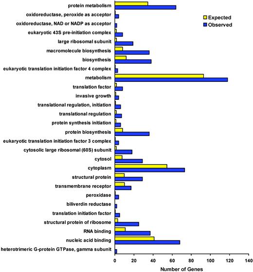 Figure 3. GO-Scan classifications of 385 significantly differentially expressed genes. The x axis reflects the number of genes in a particular category of annotations from our list of 385 genes (generated using a less stringent multiple comparisons correction: false discovery rate ≤ 10%). Blue: observed number; yellow: expected number, based on the total number of genes on the chip given each annotation term multiplied by the average differential expression rate (number of differentially expressed, annotated genes/number of annotated genes). Annotation terms were selected from GO-Scan when they were significantly overrepresented in the list of differentially expressed genes. Significance was determined with a Fisher exact test and P less than or equal to .01. Individual genes from selected categories are listed in Table 3.