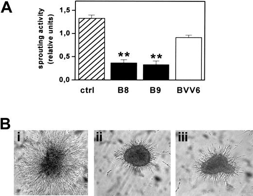 Figure 6. Effect of PTX3 overexpression on FGF2-T-MAE cell morphogenesis. (A) Aggregates of parental FGF2-T-MAE cells (ctrl), PTX3-overexpressing clones B8 and B9, and mock-transfected clone BVV6 were seeded within 3D-fibrin gels. After 24 hours, aggregates were photographed and sprouts quantified by computerized image analysis. Each point is the mean ± SEM of 4 determinations in duplicate. Student t test, **P < .01. (B) Representative images of aggregates of FGF2-T-MAE (i), B8 (ii), and B9 (iii) cells. Original magnification, × 40.