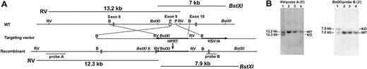 Figure 1. Targeted TXAS gene deletion strategy. (A) Exons 8 to 10 are depicted as open boxes. Filled arrows are the HPRT and tk genes. Transcription of HPRT gene is opposite to that of TXAS gene. Also shown are the hybridization probe A (5′), a 2-kb XbaI-XbaI fragment, and probe B (3′), a 0.6-kb XbaI-PstI fragment. The length of the DNA fragments of WT TXAS hybridized by the probes is indicated at the top and that of recombinant deletion mutant is indicated at the bottom. (B) Southern blot analysis of ES cell DNA digested by EcoRV and hybridized by probe A (left) or digested by BstXI and hybridized by probe B (right). The size of the bands for WT and mutant (KO) alleles is shown. Lane 1 shows an ES cell clone with WT and mutated bands, whereas lanes 2 to 4 show WT clones.