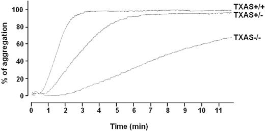 Figure 5. Platelet aggregation in response to arachidonic acid. Platelets of male and female littermates were collected and counted as described in “Materials and methods.” The platelet number was adjusted to 3 × 108/mL and 400 μL was used. AA (final concentration 1 mM) was added to induce aggregation at 37° C. +/+ indicates WT; +/–, heterozygous; and –/–, homozygous littermates.