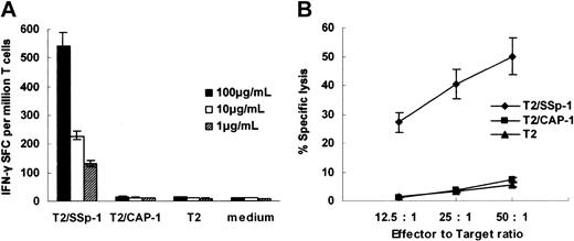 Figure 1. Immunogenicity of SARS-S–derived peptide SSp-1 in HLA-A2.1/Kb transgenic mice. IFN-γ release by bulk CTLs from immunized mice was detected by ELISPOT assay (A) and lytic activity was tested using a standard 4-hour chromium release assay (B). (A) Bulk CTLs from SSp-1–immunized mice released IFN-γ in response to T2 cells pulsed with SSp-1 (T2/SSp-1) in a dose-dependent manner, but not those with irrelevant peptide CAP-1 (T2/CAP-1) or T2 cells alone. (B) Bulk CTLs from SSp-1–immunized mice lysed T2 cells loaded with SSp-1, but not T2 cells pulsed with the irrelevant peptide CAP-1 or T2 cells alone. Data represent means ± SD.