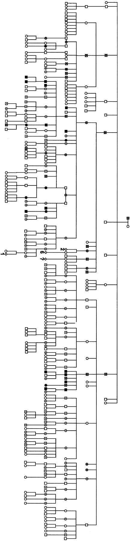 Figure 1. Pedigree of the QPD family. Men (squares) and women (circles) in 7 generations are shown. Solid symbols indicate affected participants (n = 23). Symbols containing an X indicate additional individuals known or presumed to have QPD on the basis of results of previous testing (n = 6), a history of typical QPD bleeding problems, or documented QPD transmission to offspring. Open symbols containing dots indicate unaffected individuals who participated in the study (n = 104). Open symbols without dots indicate other known or presumed unaffected family members. Partners are shown for women who had children with several individuals. Children of unknown sex are shown as diamonds (representing known or unknown numbers of individuals, as indicated).
