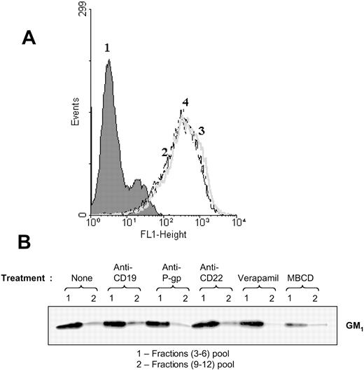 Figure 5. Detection of GM1 ganglioside as a marker for lipid rafts. (A) GM1 on intact cells. Cells were treated with FITC-ChB in a direct binding assay and the cells were analyzed on FACScan. Namalwa/MDR1 cells (1) in media, (2) stained with FITC-ChB, (3) pretreated with anti-CD19, or (4) pretreated with anti–P-gp prior to staining with FITC-ChB. (B) Distribution of GM1 ganglioside in the lipid fractions isolated by sucrose gradient ultracentrifugation of the Triton X-100 lysates of Namalwa/MDR1 cells. Cells were incubated for one hour at 37° C in the absence or presence of HD37, UIC2, or RFB4 (15 μg/106 cells), and 10 μM verapamil or 10 mM MBCD, lysed, and fractionated in a sucrose gradient. Combined raft fractions and soluble fractions from 5 × 108 cells were resolved (25 μL/lane) by 12% SDS-PAGE under nonreducing conditions and immunoblotted with ChB–horseradish peroxidase.