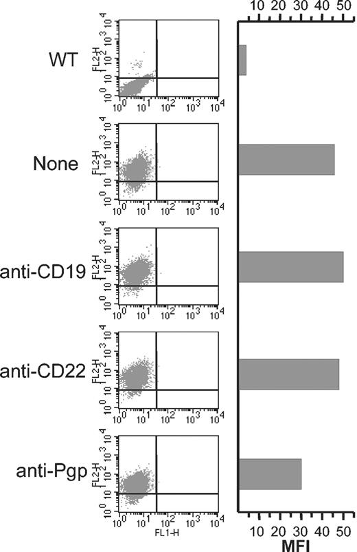 Figure 7. Anti-CD19 does not induce the internalization of P-gp. Cells (106) were incubated for 30 minutes on ice in the absence or presence of 15 μg anti-CD19, anti-CD22 (negative control), or anti–P-gp (positive control). The excess unbound antibody was removed by 2 washes in PBS, and then the cells were incubated at 37° C for 4 hours. The level of cell surface P-gp was then detected using PE-UIC2 and cells were analyzed by FACS. WT indicates wild type Namalwa cells.