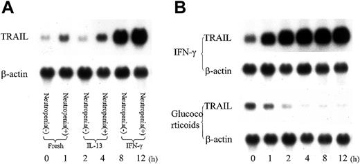Figure 7. Influence of cytokines and glucocorticoid on TRAIL expression in T cells. T cells were incubated with IFN-γ (50 U/mL), IL-13 (50 ng/mL), or corticosterone (500 nM) for various time durations. (A) RNA was extracted from T cells of SLE patient after an 8-hour incubation with IL-13 (50 ng/mL) or IFN-γ (50 U/mL). INF-γ up-regulated TRAIL expression of T cells. Representative data from 4 individual experiments. (B) RNA was extracted from T cells of an SLE patient with neutropenia after incubation with IFN-γ (50 U/mL) or glucocorticoid (500 nM) for various time durations. IFN-γ up-regulated the TRAIL expression level, while glucocorticoid down-regulated the TRAIL expression in T cells. Shown are representative data from 4 individual experiments.
