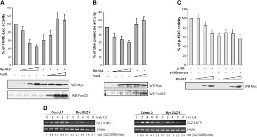 Figure 7. GILZ inhibits FoxO3 transcriptional activity and consequently down-regulates its own expression. (A) GILZ inhibits FoxO3 transcriptional activity. CTLL-2 cells were transiently transfected with 5 μg FHRE-Luc reporter construct along with increasing doses (1, 5, and 10 μg) of the expression vector for GILZ and/or FoxO3 as indicated. The total amounts of transfected DNA were kept constant by addition of empty control vector. Data are expressed as a percentage of FHRE-Luc activity and represent the mean ± SEM (error bars) of 3 independent experiments performed in triplicate. Lower panel: Western blot analysis for expression of Myc-GILZ and FoxO3. (B) GILZ inhibits Bim promoter transcriptional activity. CTLL-2 cells were transiently transfected with 5 μg pBim-Luc reporter construct along with increasing doses of the expression vector for GILZ (1, 5, and 10 μg) and/or FoxO3 (1 and 5 μg) as indicated. The total amounts of transfected DNA were kept constant by addition of empty control vector. Data are expressed as a percentage of pBim-Luc activity and represent the mean ± SEM (error bars) of 2 independent experiments performed in triplicate. Lower panel: Western blot analysis for expression of Myc-GILZ and FoxO3. (C) GILZ down-regulates the activity of its own promoter. CTLL-2 cells were transiently transfected with 5 μg p-1940 or p-1940FHRE1+3-mut reporter constructs along with increasing doses (1, 5, and 10 μg) of the expression vector for GILZ. The total amounts of transfected DNA were kept constant by addition of empty control vector. Results are expressed as a percentage of p-1940 activity and represent the mean ± SEM (error bars) of 3 independent experiments performed in triplicate. Lower panel: Western blot analysis of Myc-GILZ expression. (D) gilz transcripts are down-regulated in Myc-GILZ–overexpressing CTLL-2 clones. GILZ-overexpressing clones (4 and 6) and control clones (1 and 2) were deprived of IL-2 and lysed at the indicated period of time. Total RNA was extracted and used as a template for RT-PCR using primers specific for gilz or β actin. Differential detection of endogenous gilz transcript was performed using a primer in the 3′ untranslated region of the gilz mRNA (GILZ 3′ UTR). Endogenous gilz expression was quantified by densitometric analysis and normalized to the densitometric value of β actin (ratio GILZ 3′ UTR/β actin).