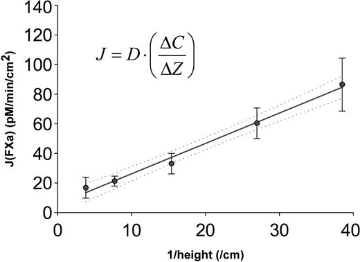 Figure 5. The apparent diffusion coefficient of FX(a) in fibrin clots is estimated from a plot of FXa flux (J) versus inverse clot thickness.